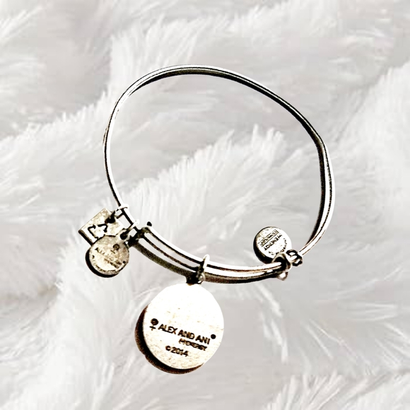 👣4/$20. Alex and Ani - LET CREATIVITY RULE - Bracelet - Picture 3 of 3